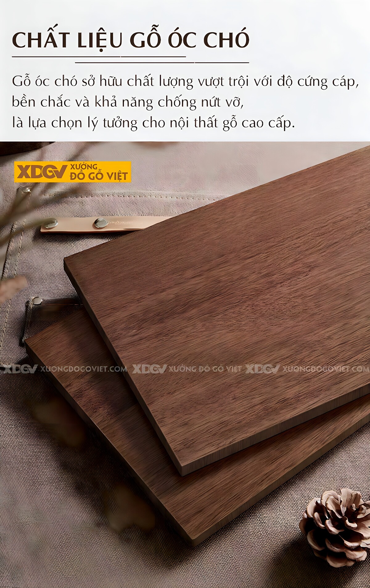 Bàn Ghế Sofa Gỗ Óc Chó Mặt Lót Nệm Hiện Đại