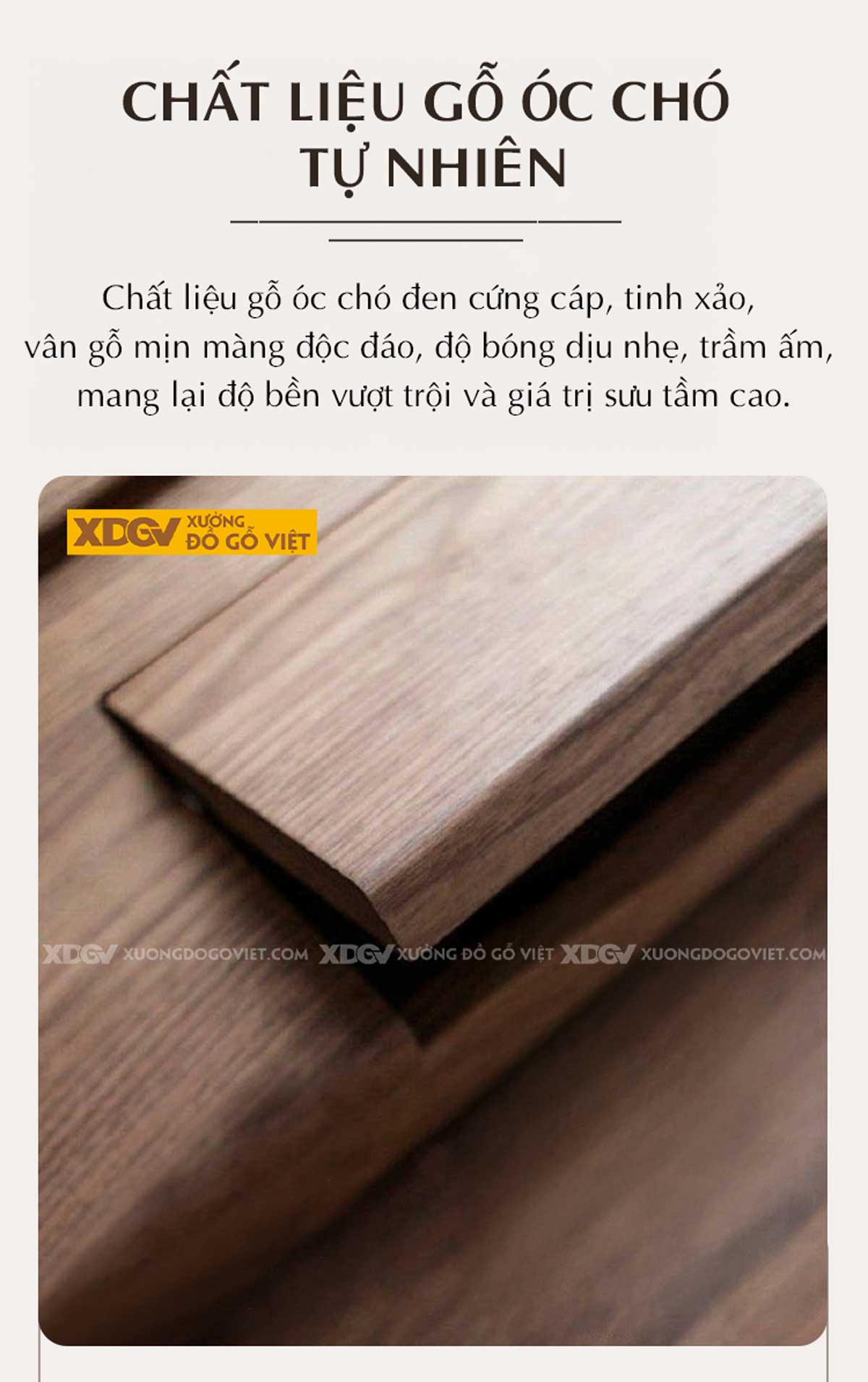 Bàn Ghế Sofa Óc Chó Thịt Bọc Nệm Cánh Chạm Khắc Dáng Núi