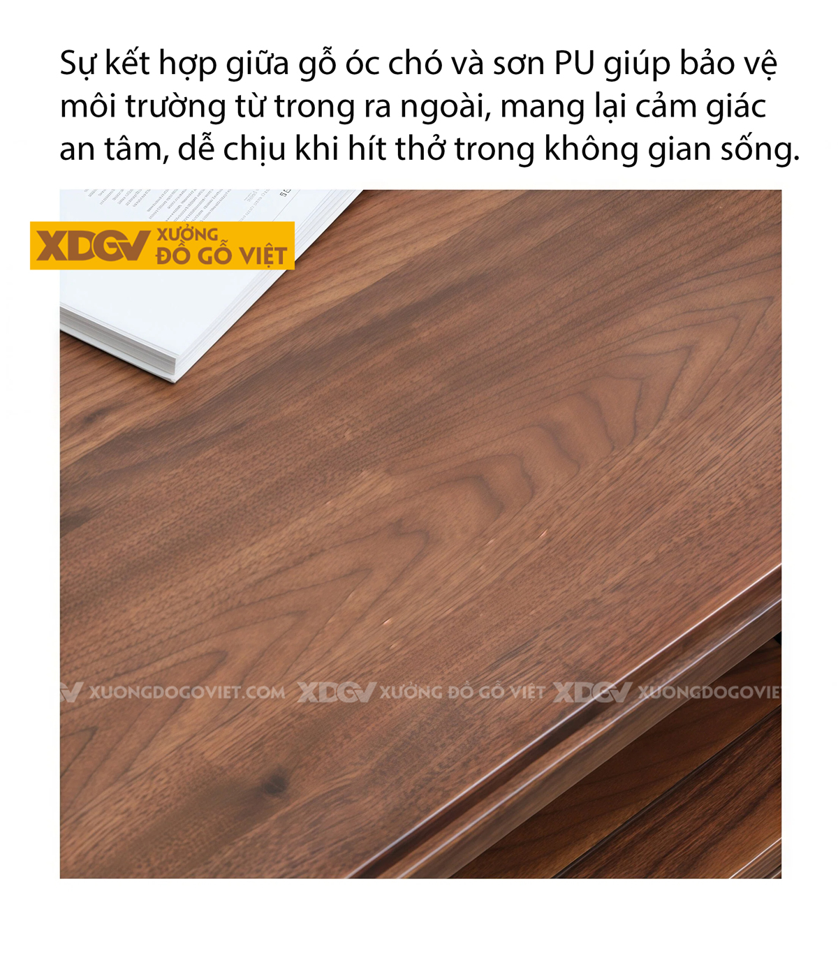 Bàn Sofa Phòng Khách Gỗ Óc Chó 2 Tầng Ngăn Kéo Lưu Trữ Lớn