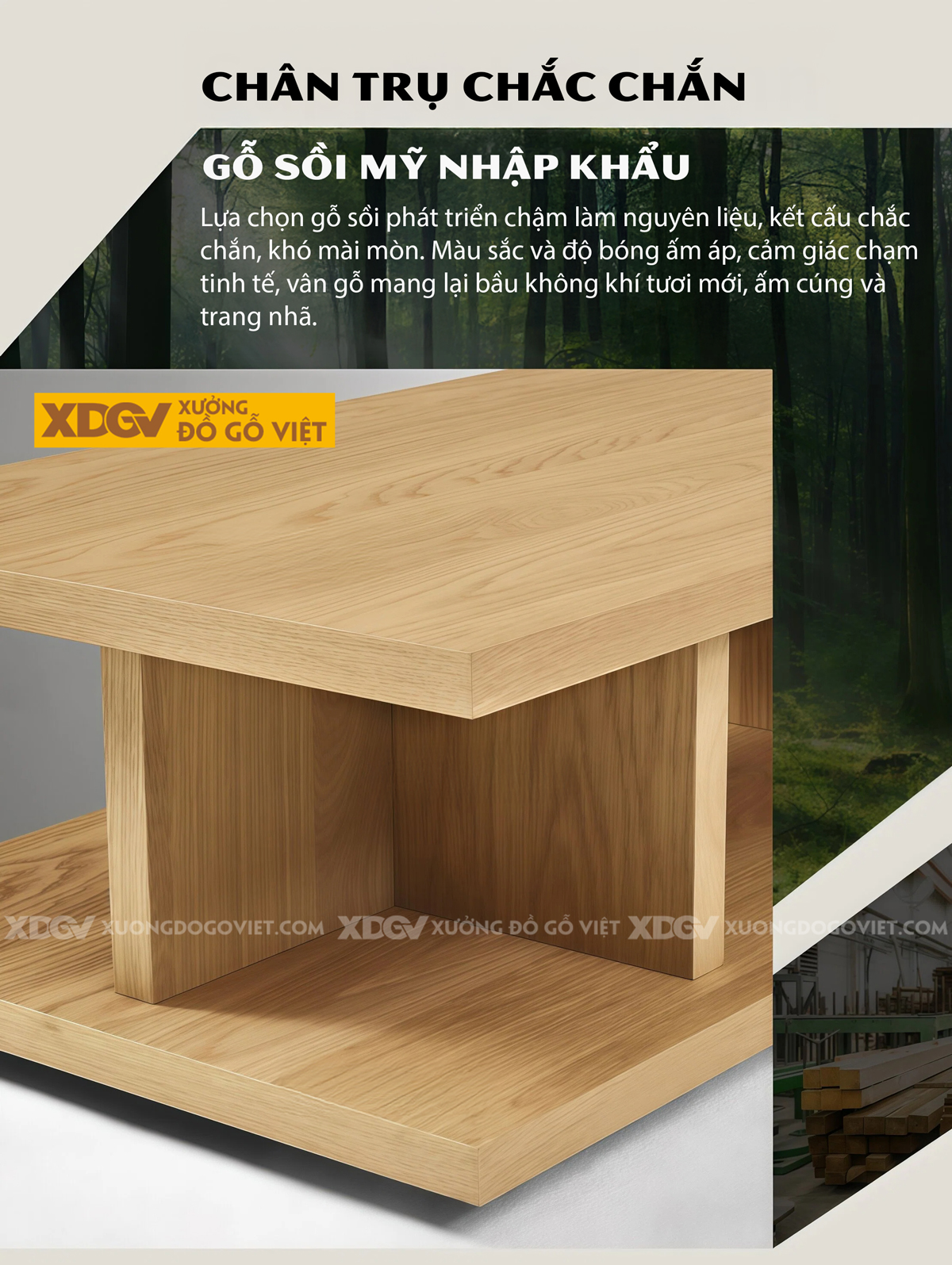 Bàn Trà Phòng Khách Hiện Đại Sofa Gỗ Sồi Thiết Kế Mở 2 Tầng