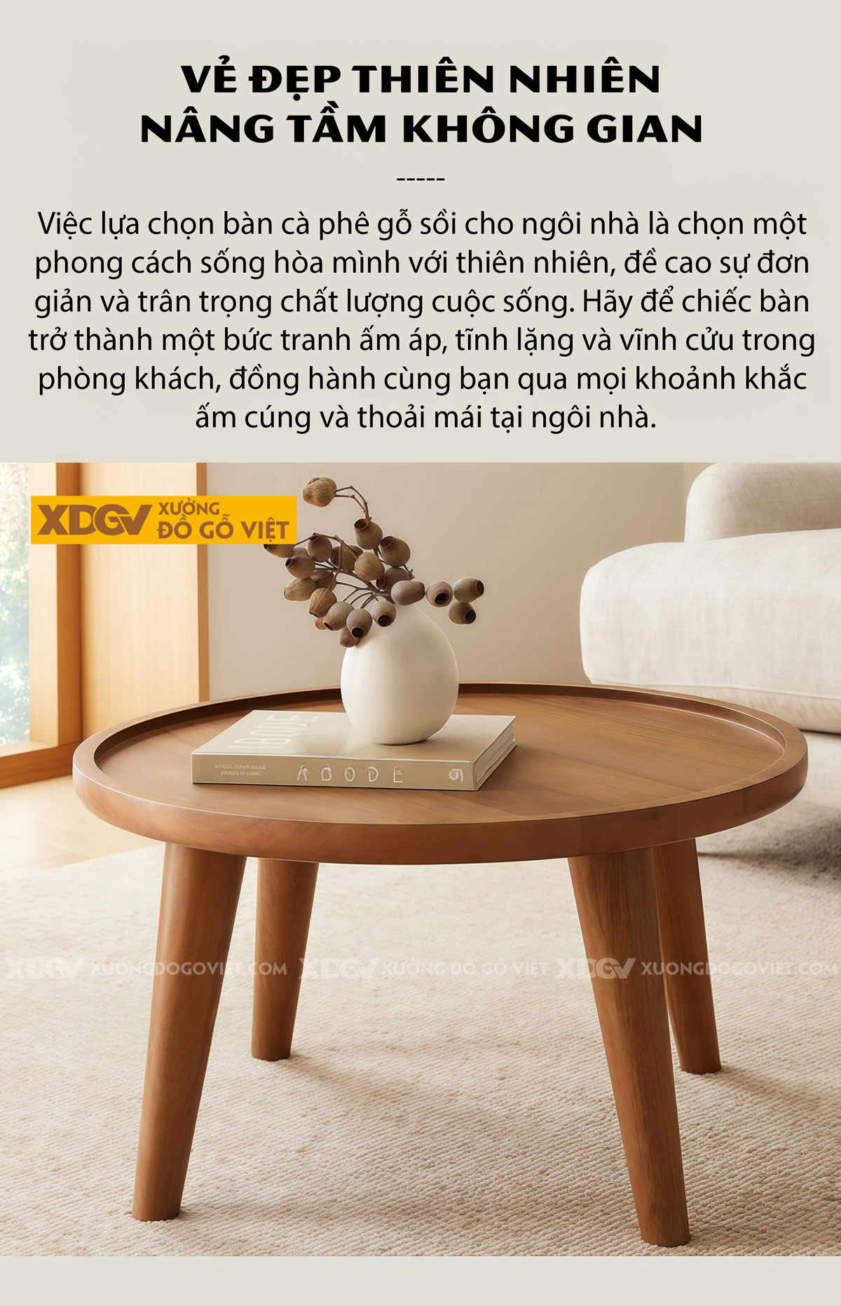 Bàn Trà Phòng Khách Hiện Đại Sofa Gỗ Sồi Thiết Kế Mở 2 Tầng