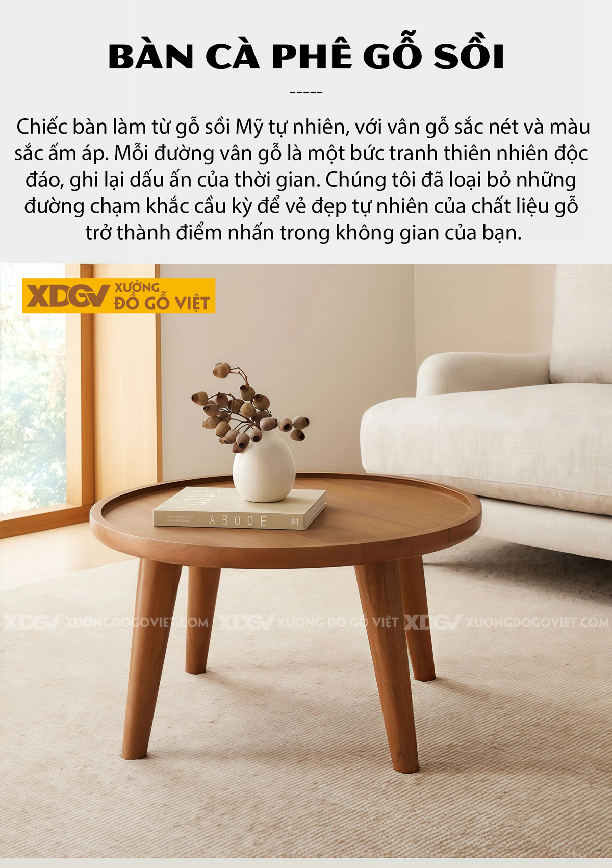 Bàn Trà Phòng Khách Hiện Đại Sofa Gỗ Sồi Thiết Kế Mở 2 Tầng