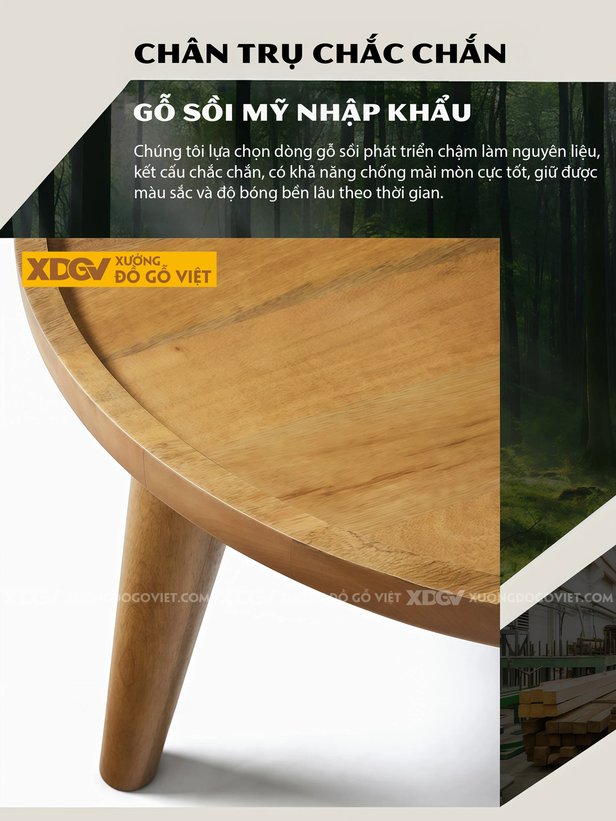 Bàn Trà Phòng Khách Hiện Đại Sofa Gỗ Sồi Thiết Kế Mở 2 Tầng