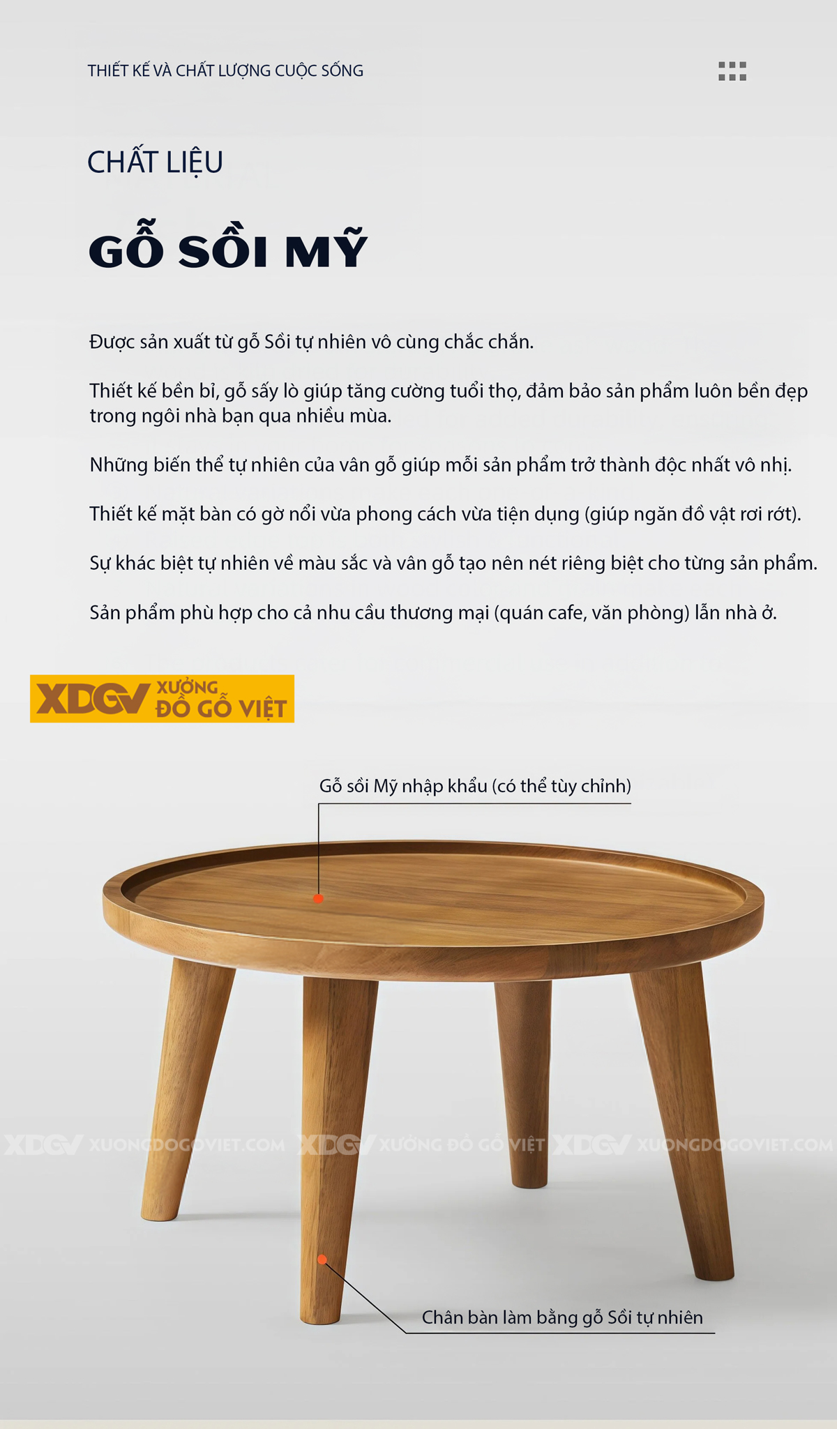 Bàn Trà Phòng Khách Hiện Đại Sofa Gỗ Sồi Thiết Kế Mở 2 Tầng