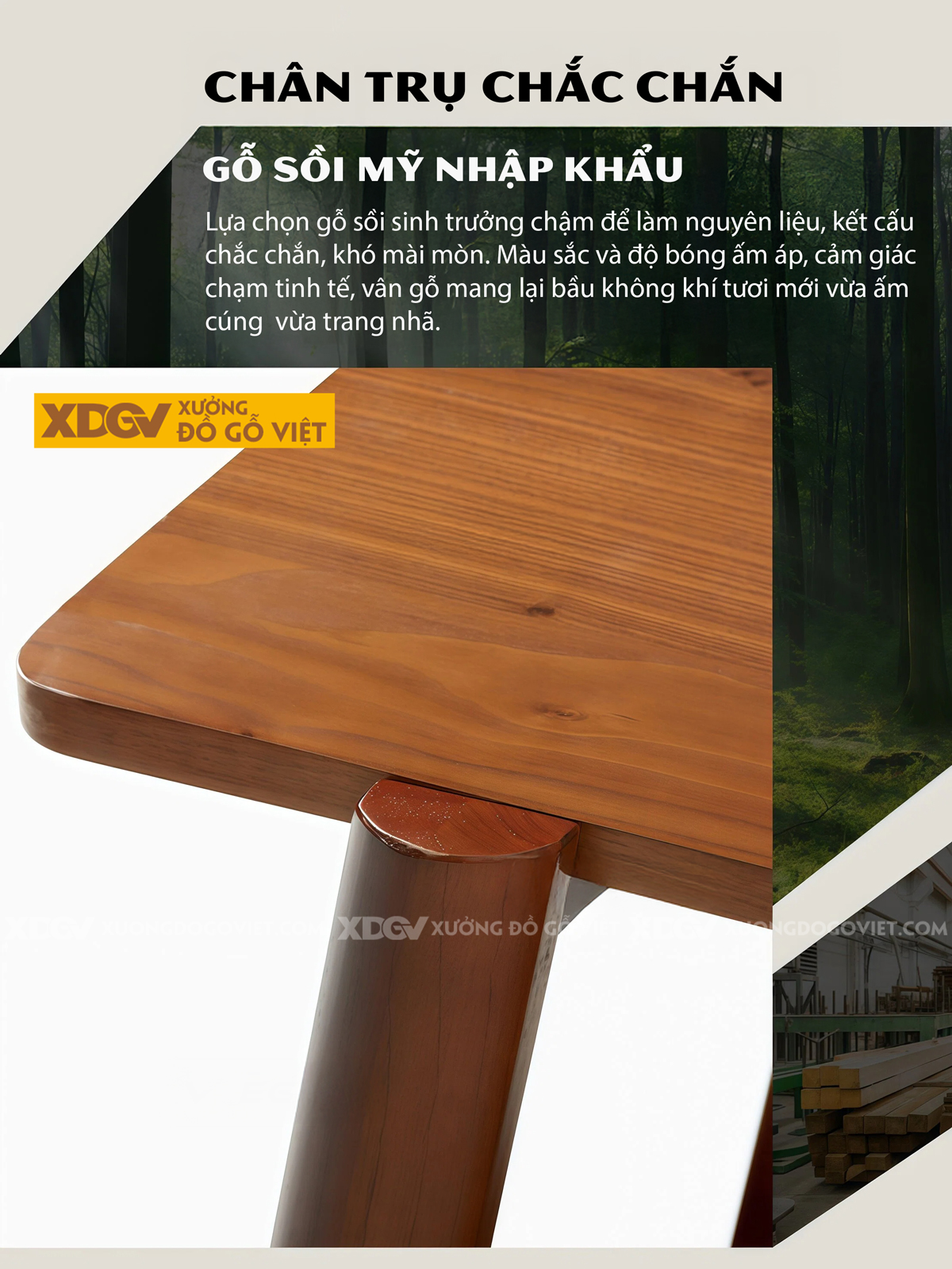 Bàn Trà Sofa Phòng Khách Hiện Đại Gỗ Sồi Thiết Kế Đa Tầng