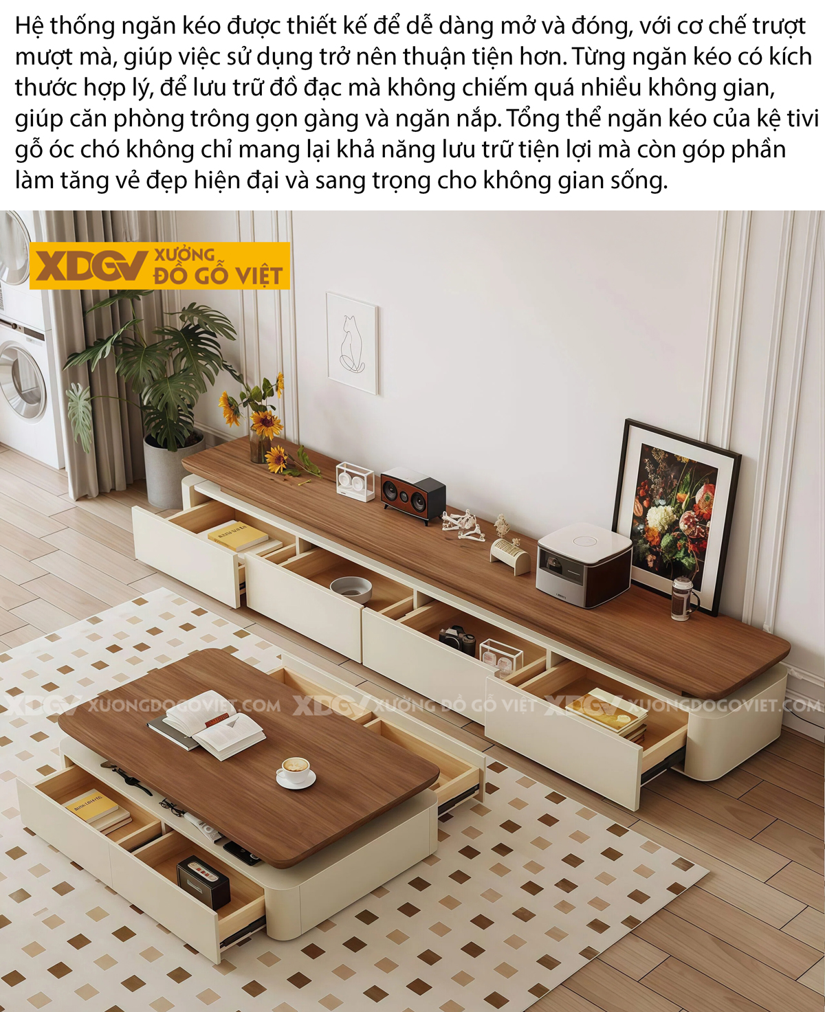 Kệ Tivi Gỗ Óc Chó Phối Màu Tinh Tế Dáng Thấp Lưu Trữ Rộng