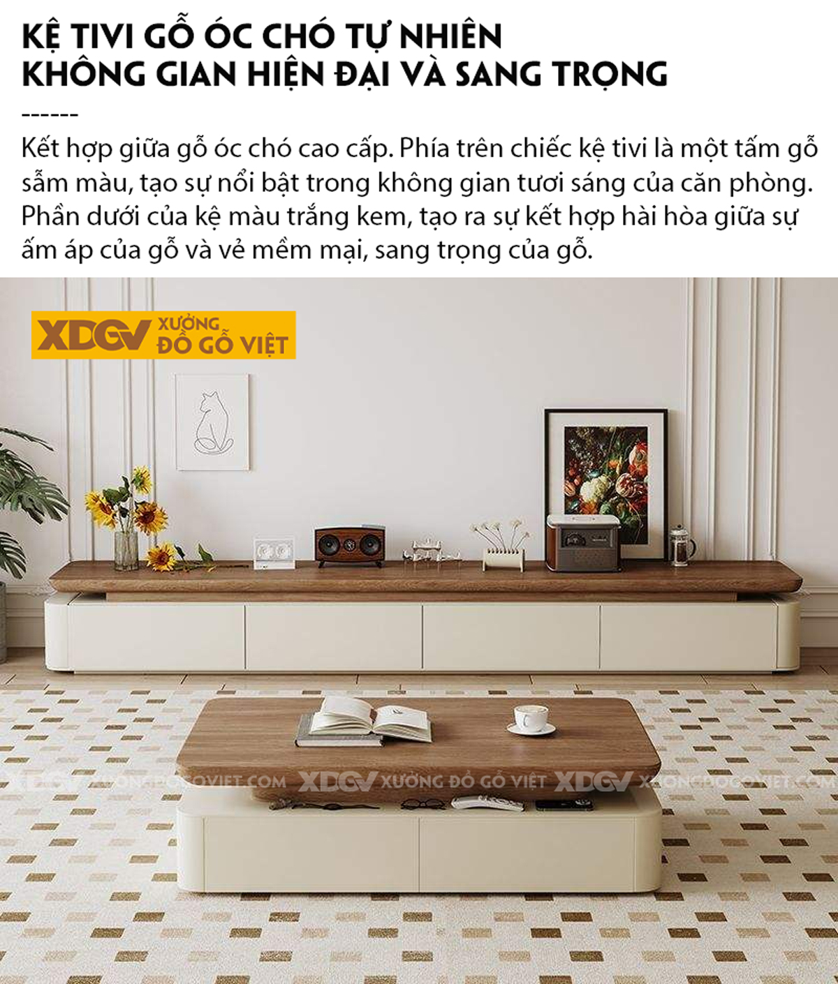 Kệ Tivi Gỗ Óc Chó Phối Màu Tinh Tế Dáng Thấp Lưu Trữ Rộng