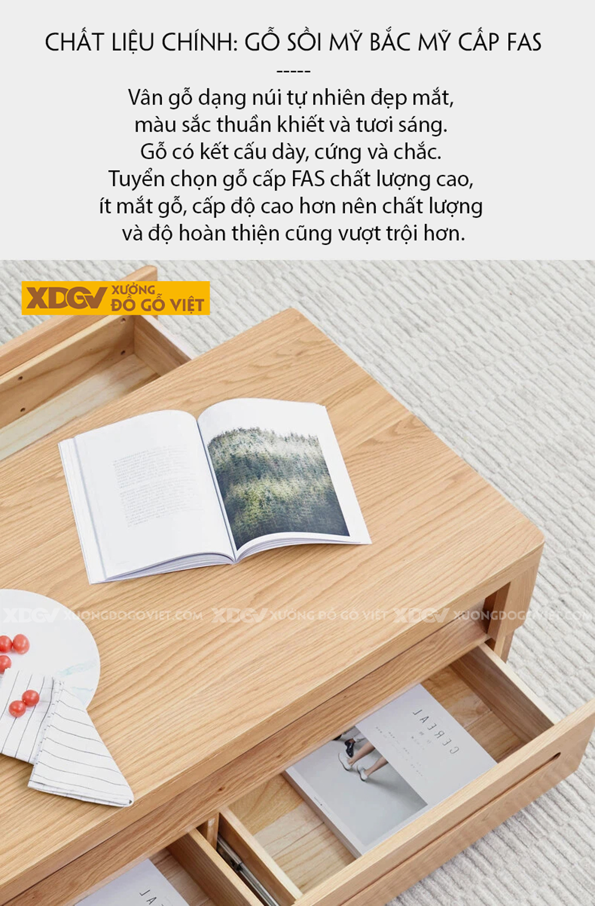 Mẫu Bàn Trà Sofa Phòng Khách Gỗ Sồi 2 Tầng Thiết Kế Đối Xứng