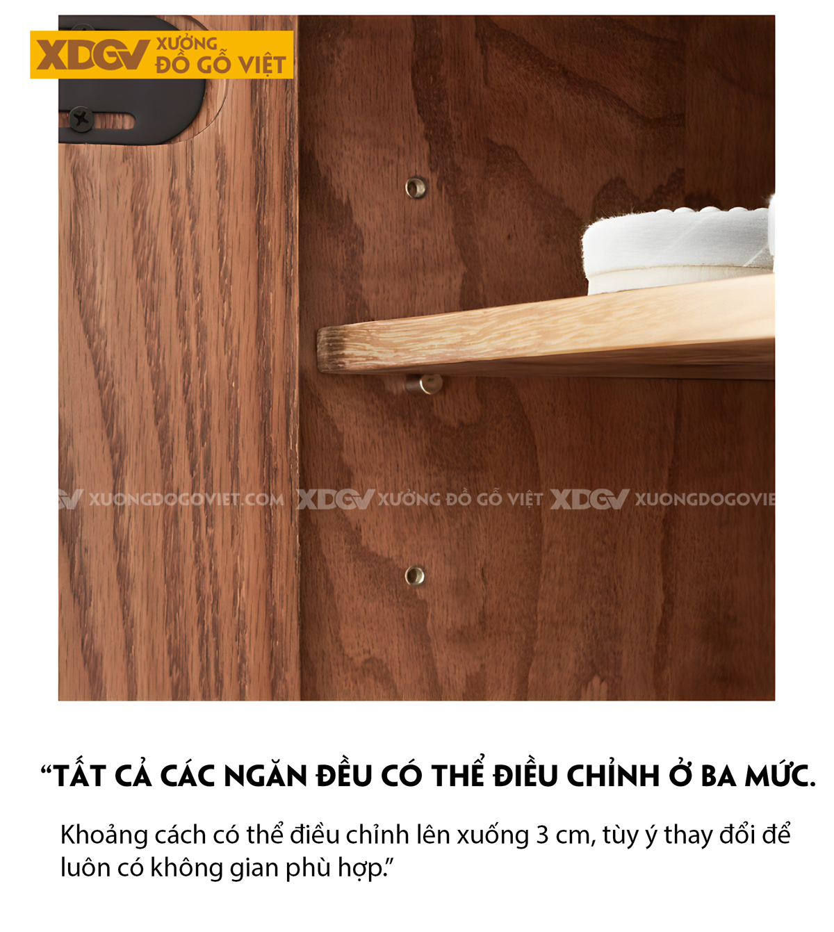 Mẫu Tủ Giày Mini Gỗ Sồi Tự Nhiên 2 Cánh 4 Tầng Có Kệ Trên