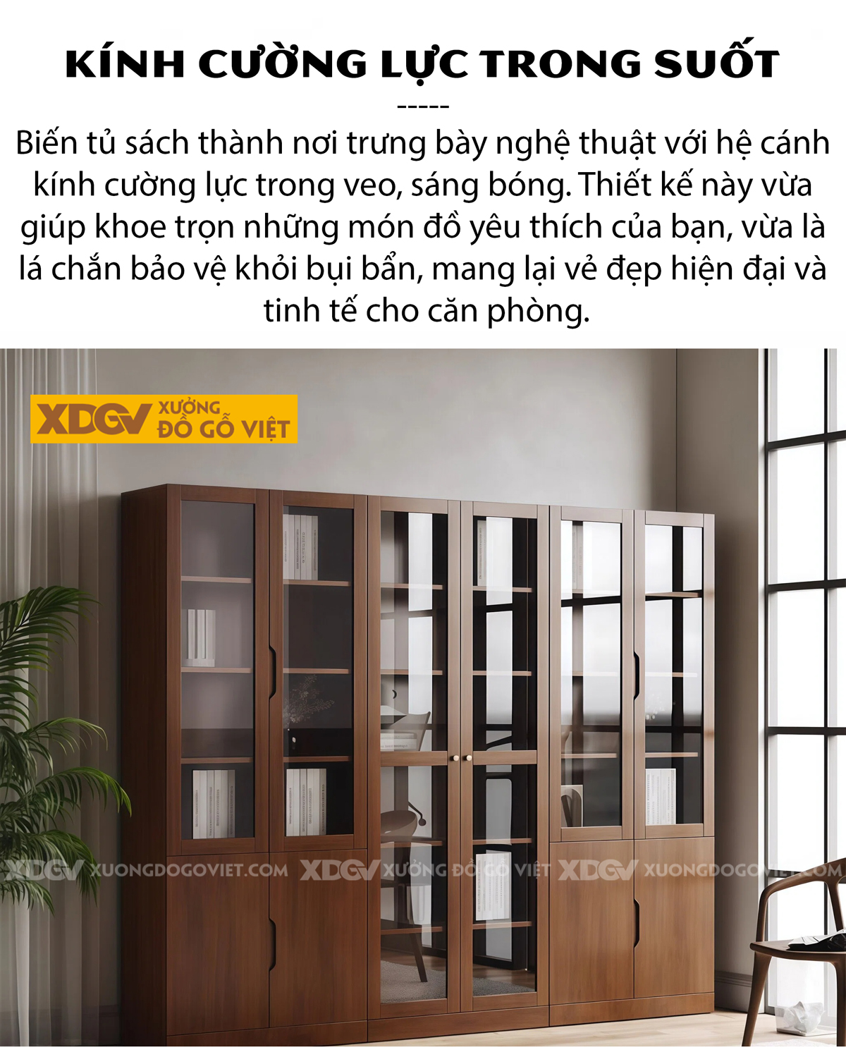 Mẫu Tủ Sách Gỗ Veneer Sồi Chân Bệt Phối Cánh Kính Sang Trọng