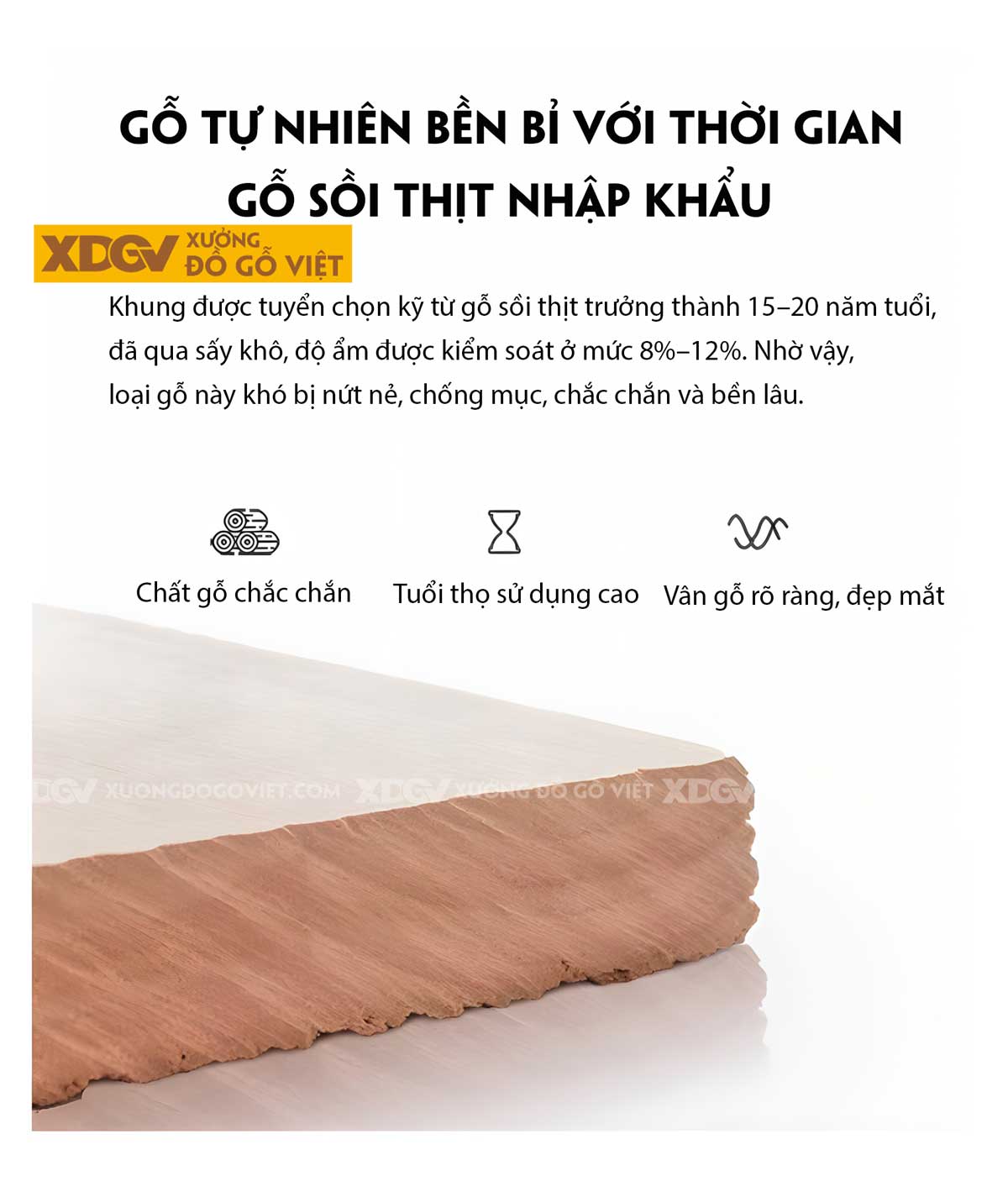 Sofa Phòng Khách Gỗ Sồi Thịt Tựa Thanh Nan Bọc Nệm Cao Cấp