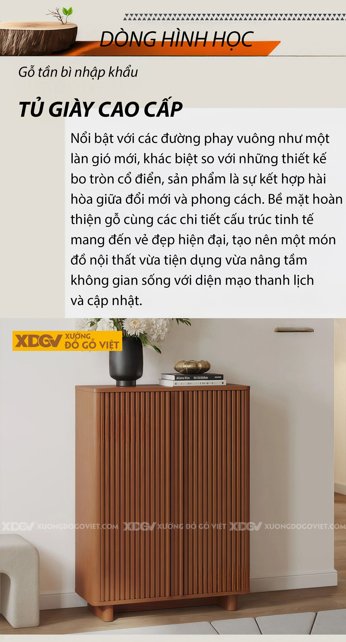 Tủ Để Giày Gỗ Sồi Tối Giản Chân Tủ Thấp Góc Bo Cong Mềm Mại