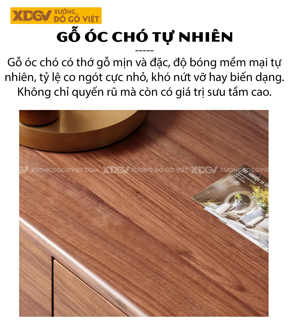 Tủ Sách Gỗ Óc Chó Hình Khối Vuông Vức Phối Chân Côn Bọc Kim