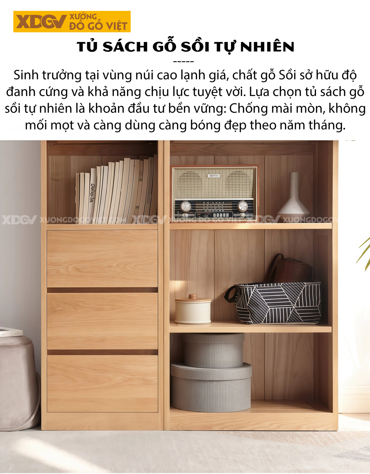 Tủ Sách Tân Cổ Điển Gỗ Sồi Chân Bệt Kết Hợp Cánh Kính Sọc Mờ