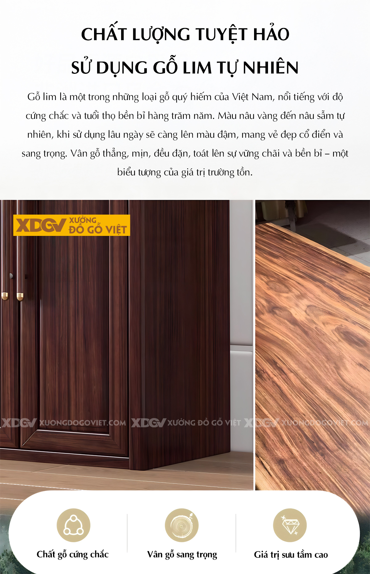 Tủ Treo Áo Gỗ Lim Cánh Pano Tay Nắm Dài Đầu Bọc Kim Loại